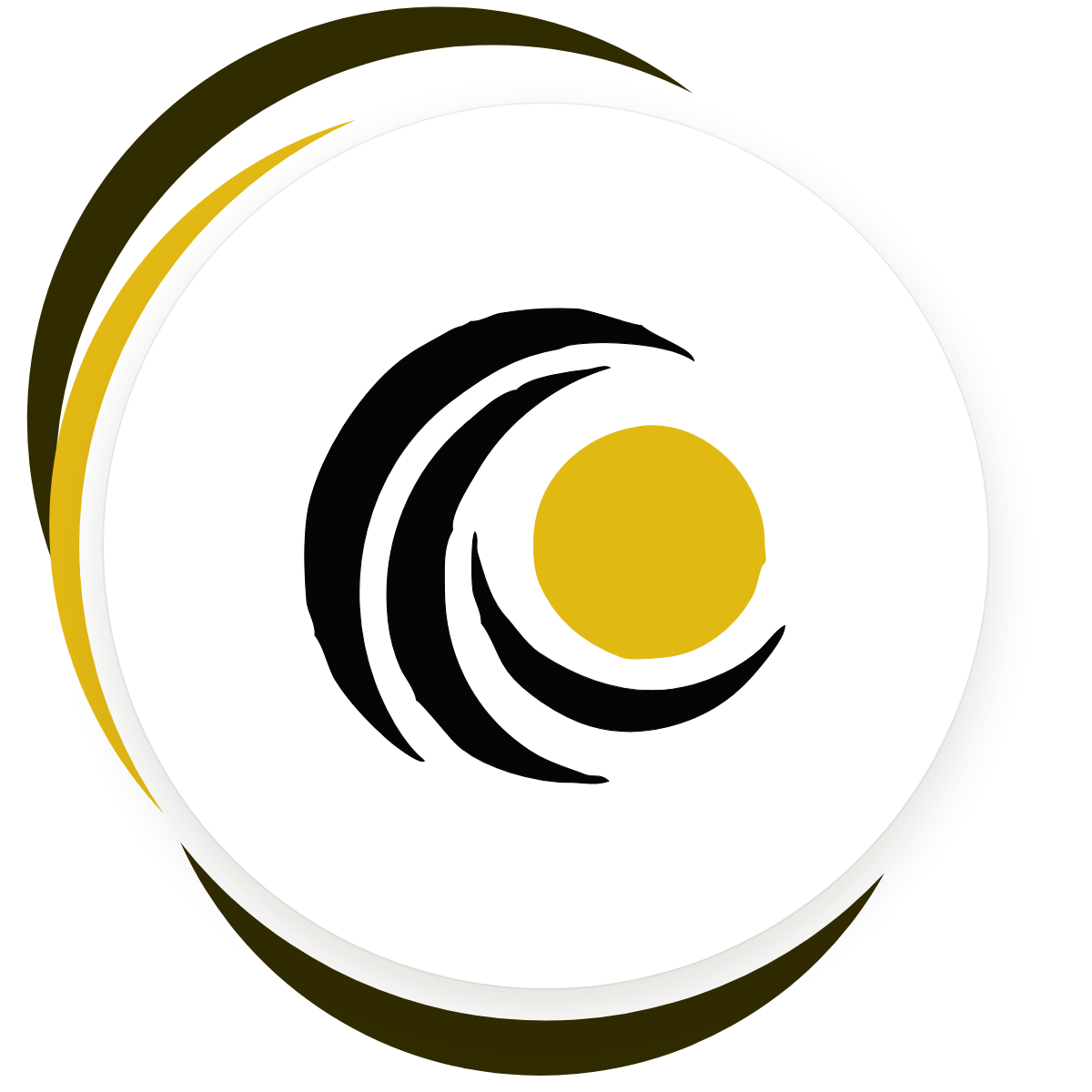 Chosen Bright Cleaning logo