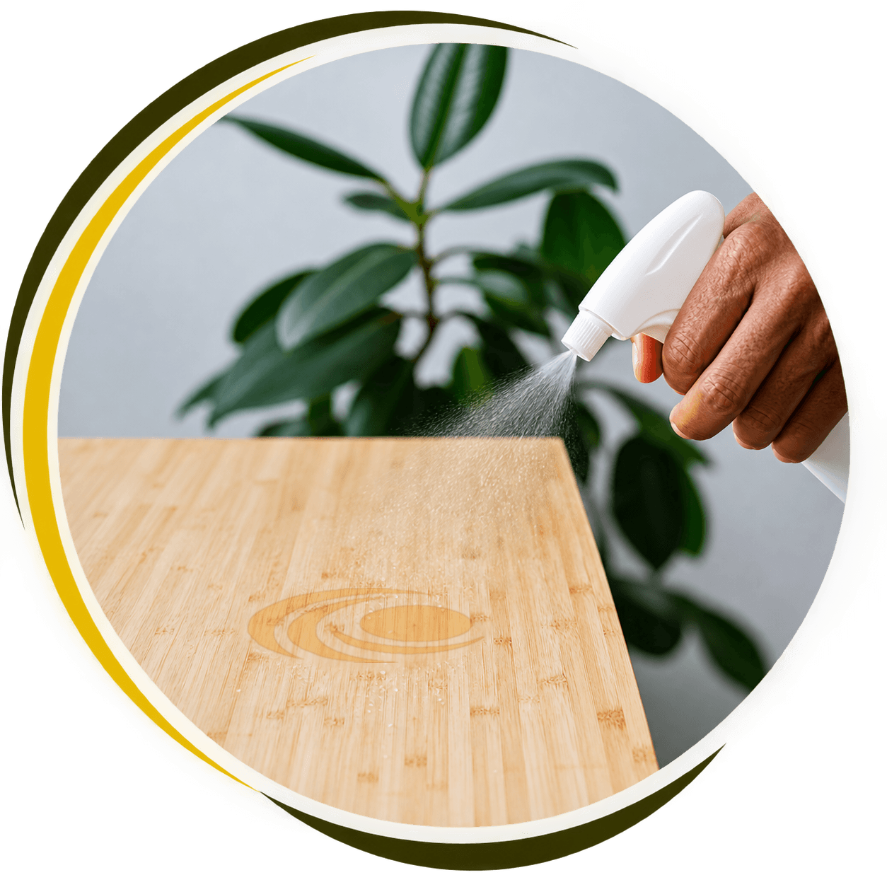 Spraying a green, non-toxic cleaner onto a wooden table with a Chosen Bright Cleaning logo water mark